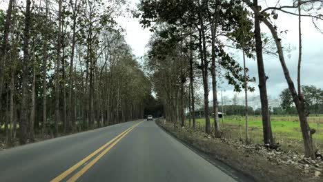 Disparó-Desde-El-Asiento-Delantero-De-Un-Automóvil-En-Movimiento-Una-Escena-De-Una-Carretera-En-Ecuador-Con-árboles-Y-Agricultura-Al-Costado