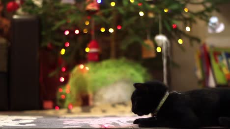 Schwarze-Katze,-Die-Auf-Einem-Teppich-Neben-Einem-Blinkenden-Weihnachtsbaum-Liegt