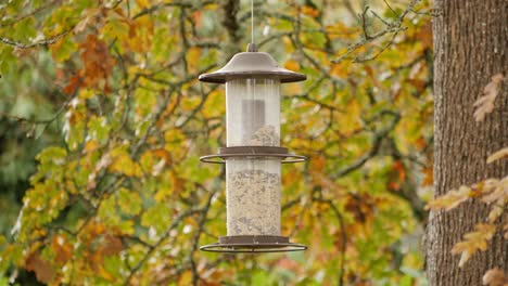 Its-fall,-a-bird-feeder-sways-in-the-breeze,-no-birds-come-to-eat-the-seeds