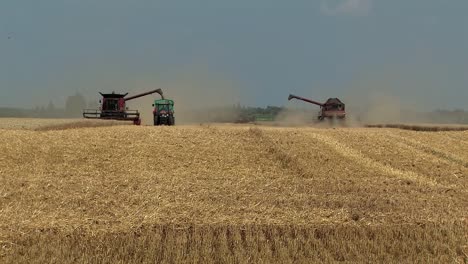 Wheat-Harvest-near-Magdeburg-with-Harvester,-Germany