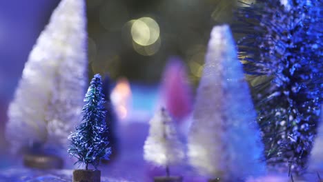 Slow-pan-left-stops-at-small-green-bottle-brush-Christmas-tree