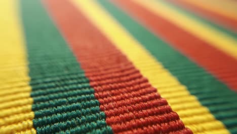 Yellow,-Green-and-Red-Stripes.-Macro-Close-Up-6