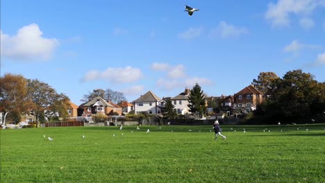 Beautiful-image-of-seagulls-flying-away-on-an-empty-field-in-Southampton,-UK-2