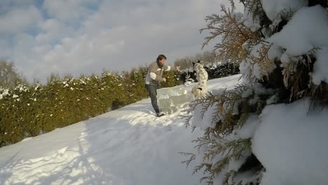 Spotted-dog-playing-with-the-owner-on-the-snow-2