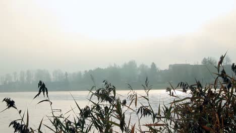 Nebeliger-Sonnenaufgang-über-Dem-Fluss-Und-Hetzt-Am-Sonnigen-Herbstmorgen