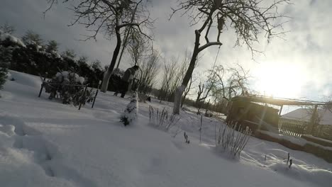 A-man-with-a-dog-goes-through-a-snow