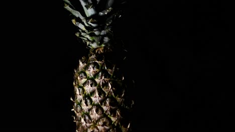 Sweet-Comosus-Pineapple-Ananas-Turning-On-a-Black-Background-1