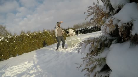 Perro-Manchado-Jugando-Con-El-Dueño-En-La-Nieve-1