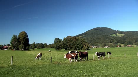 Pastizales-Y-Hermoso-Panorama-Montañoso-Al-Borde-De-Los-Alpes-Bávaros,-Alemania