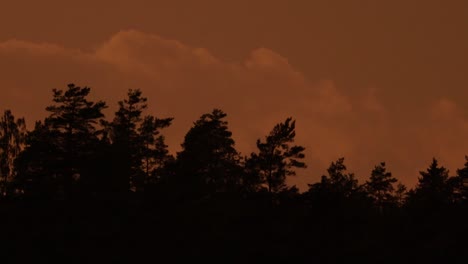 Time-lapse-of-clouds-moving-over-trees-inside-a-Swedish-forest-during-sunset
