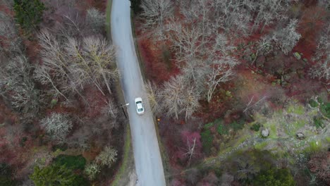 Luftaufnahmen-Von-Zwei-Autos,-Die-Auf-Einer-Typisch-Schwedischen-Straße-Im-Wald-Fahren
