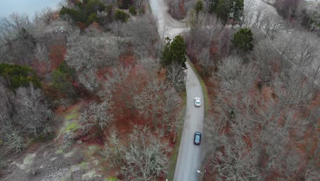 Luftaufnahmen-Von-Zwei-Autos,-Die-Auf-Einer-Typisch-Schwedischen-Straße-Im-Wald-Fahren-1