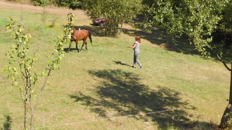 Aerial-shot,-drone-is-flying-over-plum-trees-filming-a-girl-and-a-horse-training,-Bulgaria