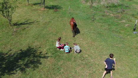 Aerial-panning-shot-of-children-play-with-small-cats-in-grass-field-next-to-horse-and-forest