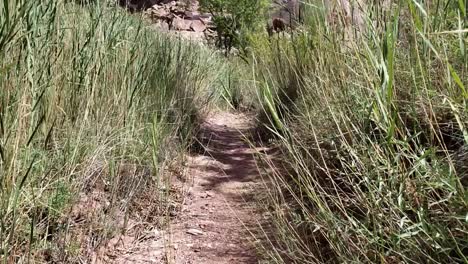 Flachschuss-Zu-Fuß-Auf-Spur-Durch-Gras-In-Utah
