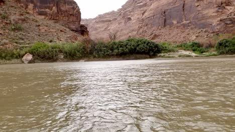 Floating-on-river-watching-wind-blow-through-trees-in-Utah-canyon