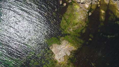 Vertical-aerial-shot-of-rocky-sea-cost-in-sunny-summer-day-1