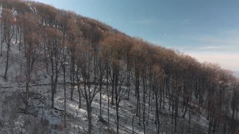 Aerial-rising-shot-of-mountain-forest-in-february