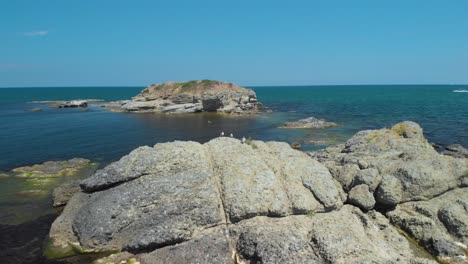 Sea-gulls-on-a-sea-rock-in-aerial-panning-arc-shot---Lozenets,-Bulgaria