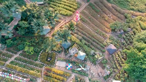 Drone-footage-of-a-theme-park-in-the-middle-of-rice-fields