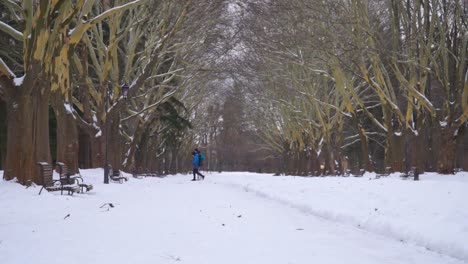 View-of-the-alley-in-the-winter-park