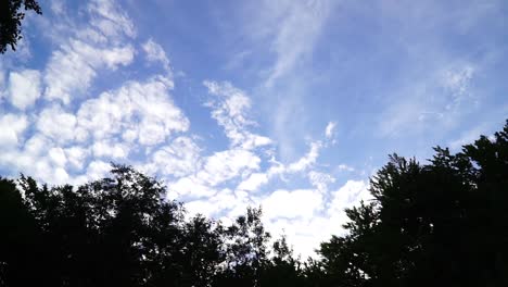 Blauer-Himmel-Und-Der-Übergang-Der-Bäume