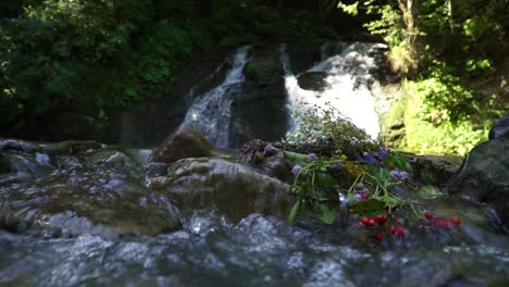 Schuss-Wasserfall-Mit-Blumen-Im-Fluss-Im-Vordergrund