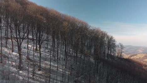 Aerial-shot-of-winter-mountain-forest-in-february