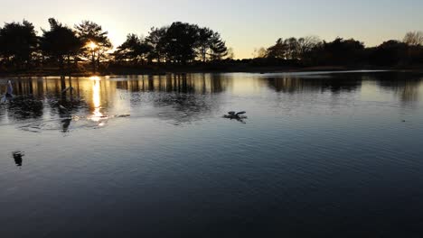 Sonnenuntergangsaufnahmen-Eines-Wirklich-Ruhigen-Sees,-Mit-Vögeln,-Die-Das-Bild-übernehmen