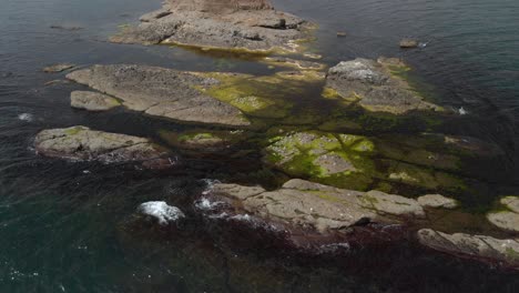 Drone-wide-shot-over-seagulls-on-sea-cliffs-1