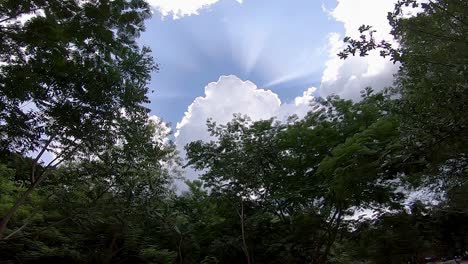Sonnenstrahlen-Kommen-Aus-Einer-Flauschigen-Wolke-über-Bäumen