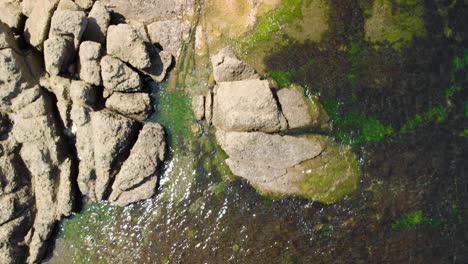 Vertical-aerial-shot-of-rocky-sea-cost-in-sunny-summer-day-3