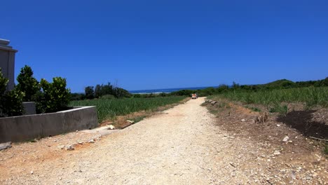 Camino-A-La-Playa-De-Okinawa-En-El-Punto-De-Maeda