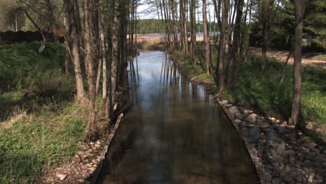 The-forest-river-flows-into-the-lake
