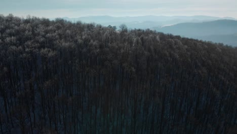 Drohne-Steigt-An-Sonnigen-Wintertagen-über-Bäume-Mit-Gefrorenen-Zweigen-Auf-5