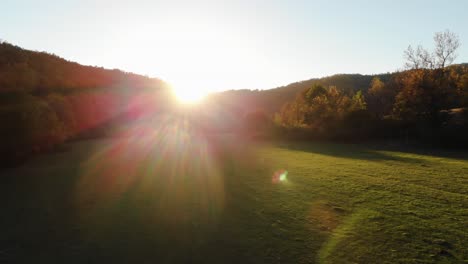 Aerial-epic-drone-shot-of-sun-rays-in-grass-field-surrounded-by-forest-at-sunset-3