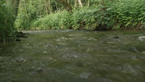 Pov-Aus-Dem-Wasser-Eines-Fließenden-Flusses-Im-Englischen-Wald