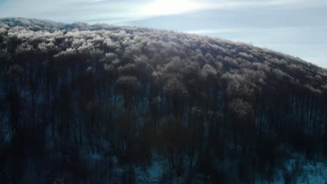 Drone-rise-over-trees-with-frozen-branches-in-sunny-winter-day-4