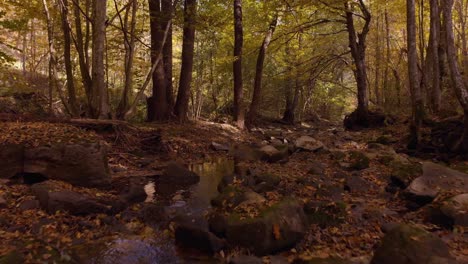 Low-drone-footage-over-small-river-in-autumn-5