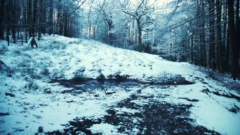 Levántese-Del-Camino-Fangoso-En-Bosques-Cubiertos-De-Nieve-En-Inglaterra