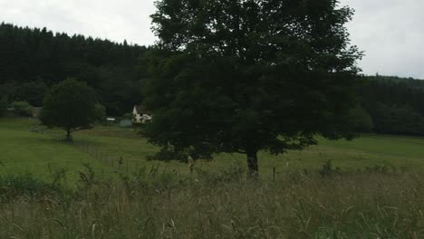 Langsamer-Schwenk-über-Eine-Englische-Forstlandschaft-Mit-Verschiedenen-Ländlichen-Häusern-Und-Ackerland