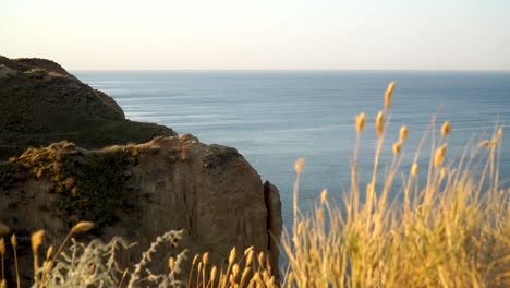 Yellow-grass-gently-blowing-in-the-breeze-in-front-of-the-cliffs-and-wide-blue-sea