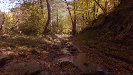 Fast-low-drone-shot-over-small-river-in-autumn