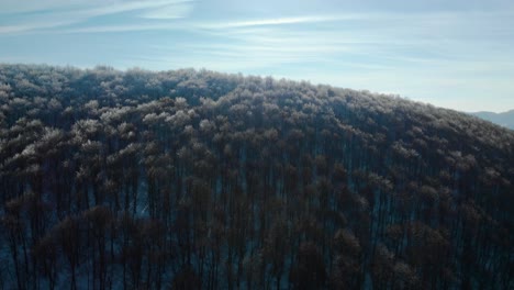 Drone-rise-over-trees-with-frozen-branches-in-sunny-winter-day-3
