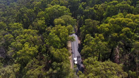 Tracking-cars-through-forest-with-drone