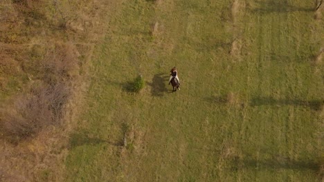 Aerial-tracking-drone-shot-of-girl-ride-horse-1