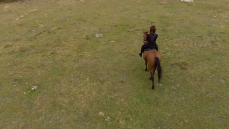 Medium-aerial-tracking-shot-of-girl-ride-horse-in-grass-field