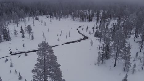 Aerial-of-a-frozen-forest-with-snow-covered-trees-and-a-frozen-river-in-Idre,-Sweden-during-a-cloudy-day-with-fog-1