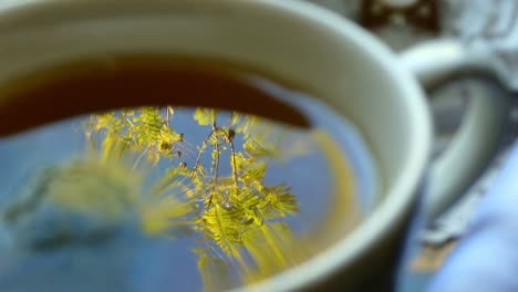 The-reflections-of-nature-in-a-cup-of-tea-and-suddenly-the-bag-of-tea-is-removed