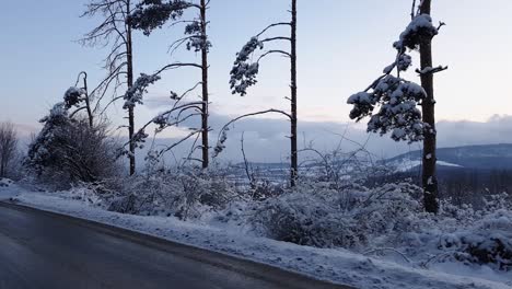 Winter-road-with-trees,-bushes-and-snow-shot-from-moving-car